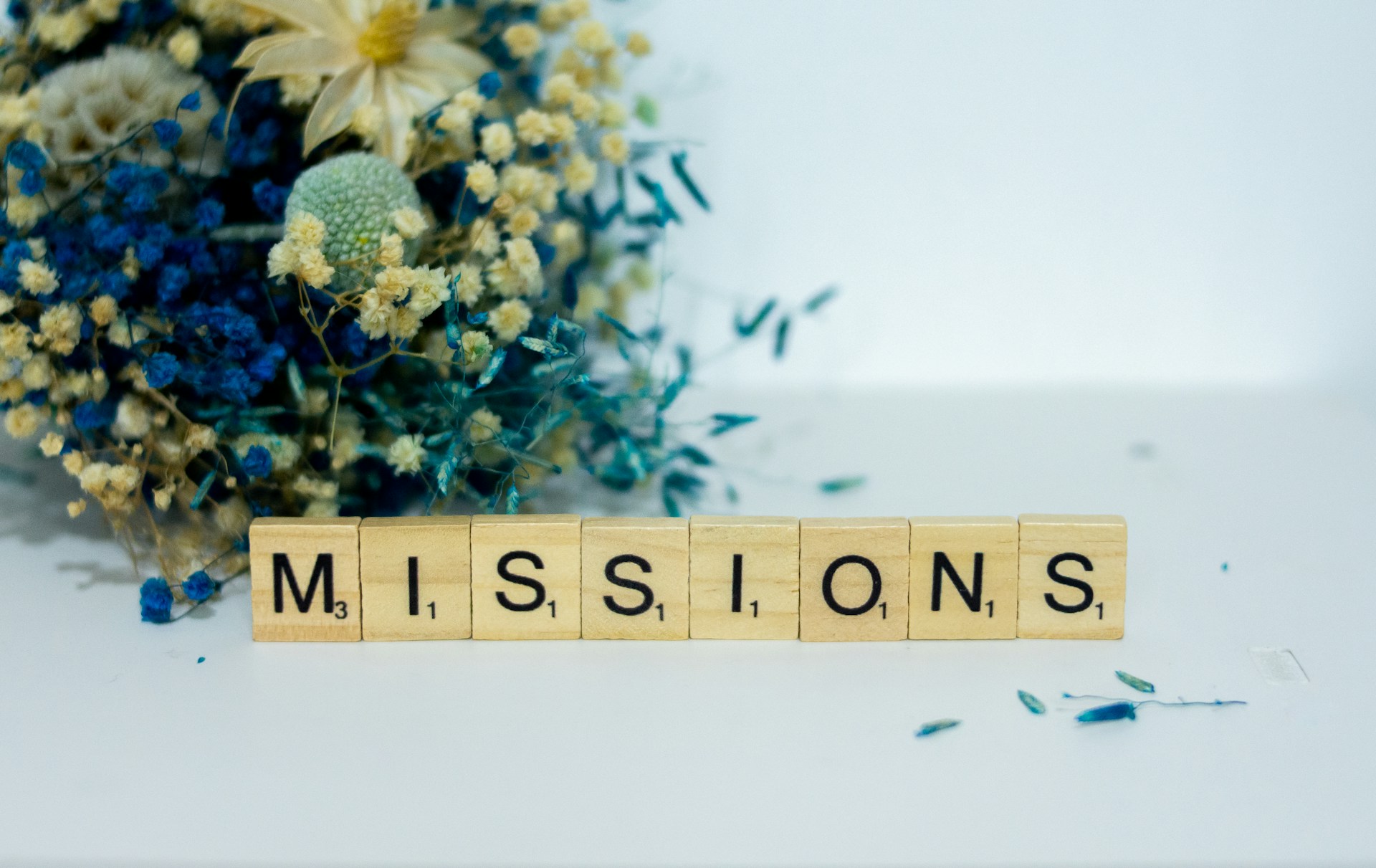 Misyonumuz - Pathoja